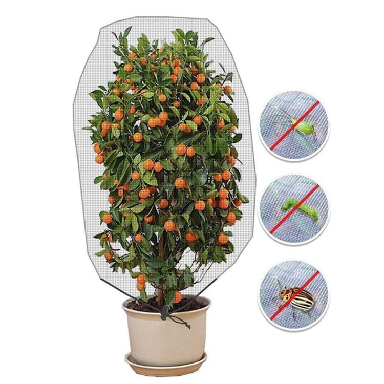 2 PCS Plant Insect Cover Net พร้อมสายรัด Greenhouse Fruit Tree Bird Cover, 1x1.2m, 1x1.4m, 1.2x1.4m, 1x1.5m