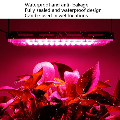 LED Plant Light สเปกโทรสโกปีแบบกันน้ำเต็มหลอด, Three-wire Access 24 Beads 25W