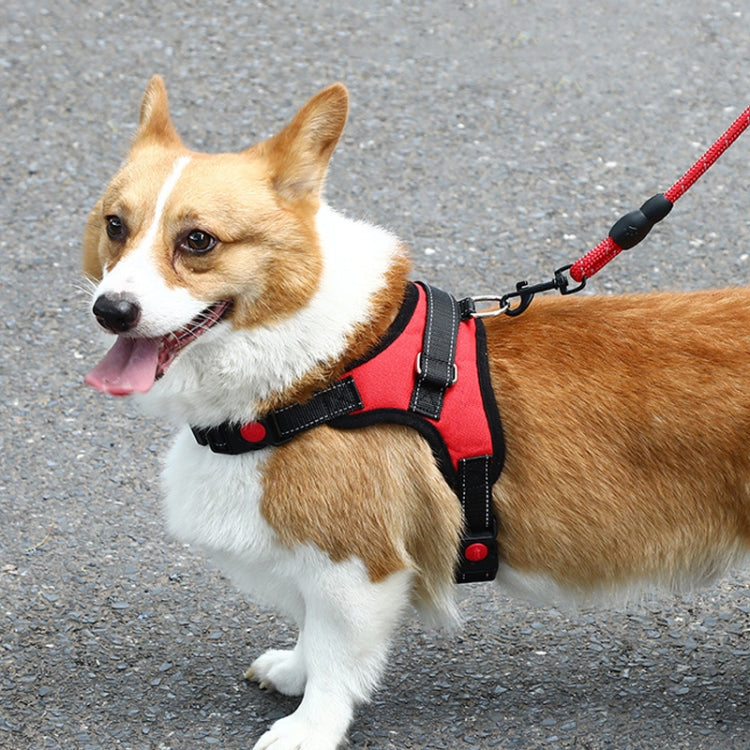 K9 สายรัดอกปรับได้สำหรับสุนัข, ขนาด:, L, XL