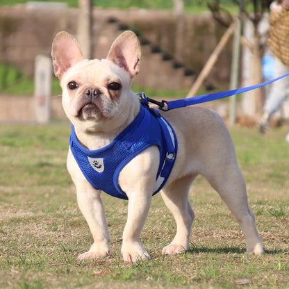 BL-844 Pet Chest Straps เชือกสุนัขระบายอากาศสะท้อนแสง, ขนาด:, XS, S, M, L, XL
