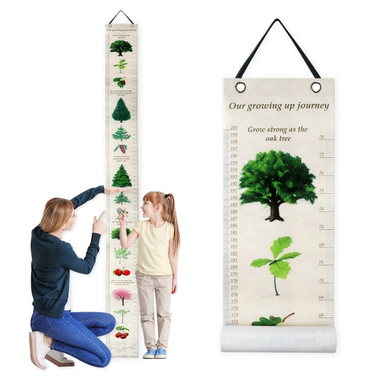ไม้บรรทัดความสูงติดผนังที่ถอดออกได้พร้อมการตกแต่งพิมพ์พฤกษศาสตร์, Height Ruler