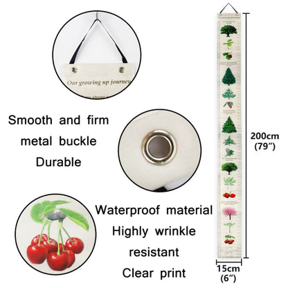 ไม้บรรทัดความสูงติดผนังที่ถอดออกได้พร้อมการตกแต่งพิมพ์พฤกษศาสตร์, Height Ruler