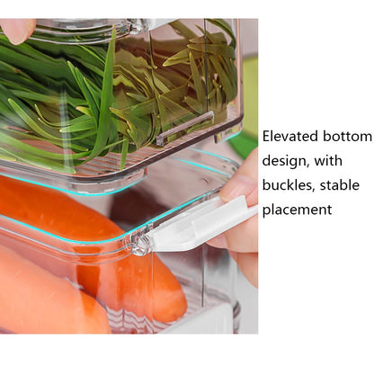 ตู้แช่ผักและผลไม้ Crisper พร้อมฝาปิด, With Lid, TY-9078, TY-9079, TY-9081, TY-9082