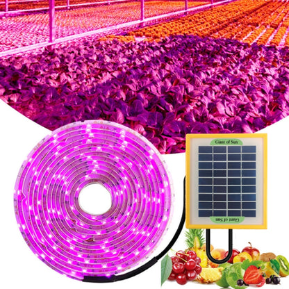LED เต็มสเปกตรัมพืชเติมแสงเติบโตแสง