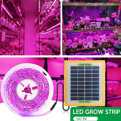 LED เต็มสเปกตรัมพืชเติมแสงเติบโตแสง