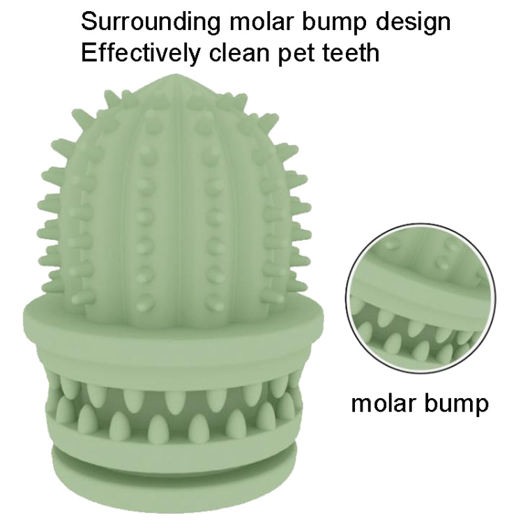2 PCS Pet Cleaning Teeth TPR Cactus ของเล่นเพื่อการศึกษาที่ทนต่อการกัดน้ำหนักเบา, Cactus Light Blue, Cactus Light Pink, Cactus Avocado Green