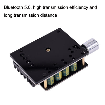 ZK-1002L มินิบอร์ดเครื่องขยายเสียงบลูทูธพลังงานสูงพร้อมปุ่มปรับระดับเสียง, ZK-1002L