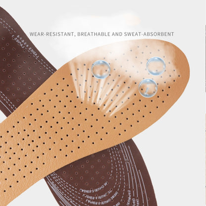 5 คู่ Unisex Perforated Latex Insole พื้นรองเท้าดูดซับเหงื่อ