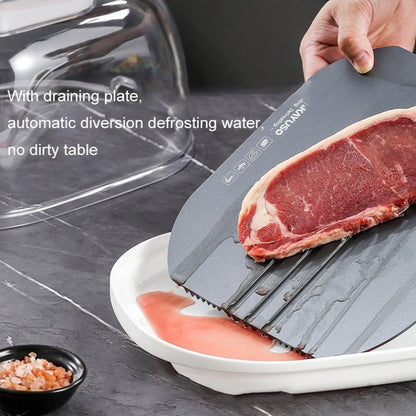 ถาดละลายอาหารแช่แข็ง จานละลายน้ำแข็ง, Quick Thaw Tray(Gray), Quick Thaw Tray(Golden)