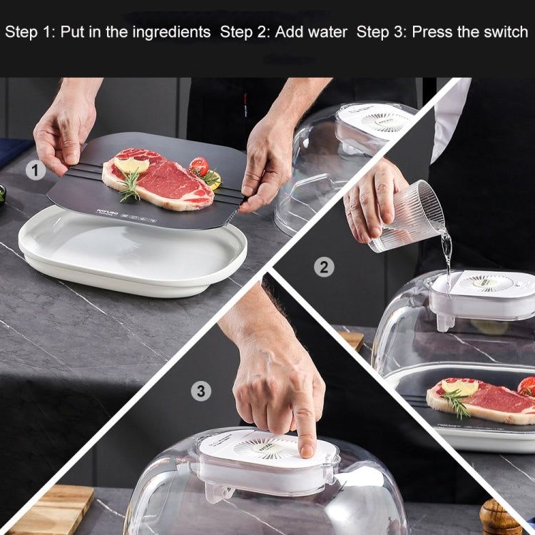 ถาดละลายอาหารแช่แข็ง จานละลายน้ำแข็ง, Quick Thaw Tray(Gray), Quick Thaw Tray(Golden)