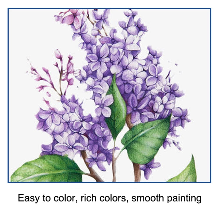 Sketch Color Pencil Set Art Student Drawing Kit, 51pcs/set, 71pcs/set
