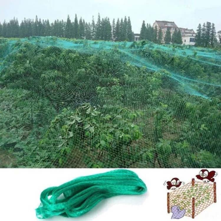 Anti Bird Protection Net Mesh Garden Plant Netting ปกป้องพืชและผลไม้, 2Mx10M, 4Mx5M, 4Mx10M, 4Mx12M, 5Mx10M, 5Mx20M, 4Mx15M