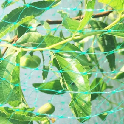Anti Bird Protection Net Mesh Garden Plant Netting ปกป้องพืชและผลไม้, 2Mx10M, 4Mx5M, 4Mx10M, 4Mx12M, 5Mx10M, 5Mx20M, 4Mx15M