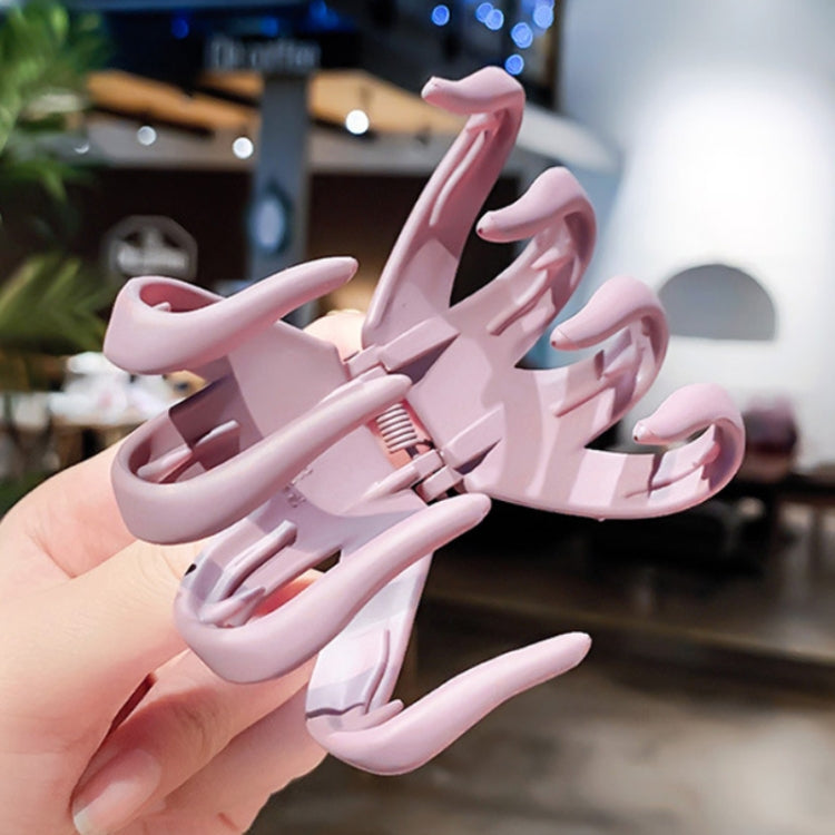 10 PCS Frosted Ladies Coiffure Hair คว้ากิ๊บติดผม