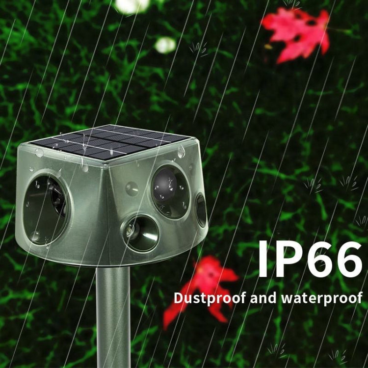 SK031 เครื่องไล่นกพลังงานแสงอาทิตย์แบบสี่ด้าน เครื่องไล่นก Ultrasonic Rat Repeller, Rat Repeller