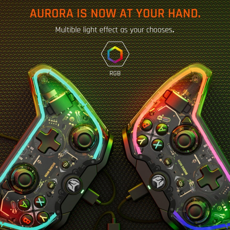 ตัวควบคุมเกมแพดแบบมีสาย RGB สำหรับพีซี / สวิตช์, BIGBIGWON C1 S