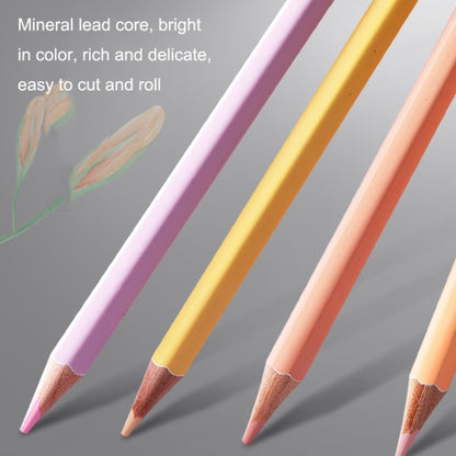 36 สี Oily Bright Color Pencil Studio ชุดพิเศษ, 36 Colors Macaron, 36 Colors Morandi, 36 Colors Classic Model