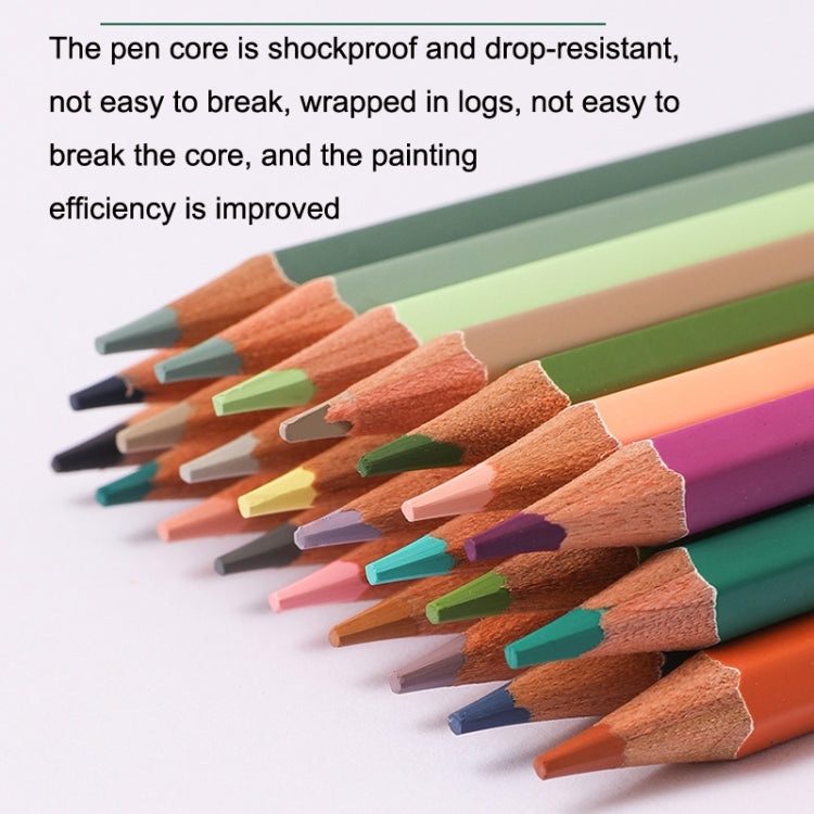 24 สี Oily Bright Color Pencil Studio ชุดพิเศษ, 24 Colors Macaron, 24 Colors Morandi, 24 Colors Classic Model