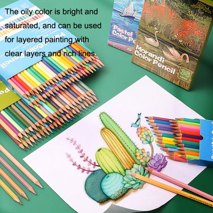 24 สี Oily Bright Color Pencil Studio ชุดพิเศษ, 24 Colors Macaron, 24 Colors Morandi, 24 Colors Classic Model