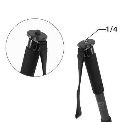 10 ชิ้น BEXIN G-02 กล้อง 1/4 นิ้วฝาเกลียวป้องกันสำหรับสกรูขาตั้งกล้องขาเดียว, G-02