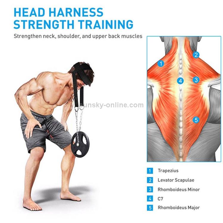 เทรนเนอร์หัวและคอ เทรนเนอร์ไหล่แบกน้ำหนัก, Head and Neck Strength Trainer