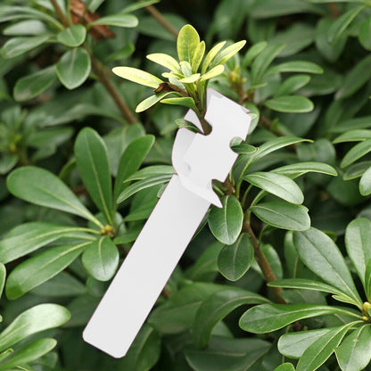 100 ชิ้นสวนพืชต้นกล้าเมล็ดแขวนป้ายต้นไม้, Plant Label 5 White, Plant Label 5 Pink, Plant Label 5 Yellow, Plant Label 5 Green, Plant Label 5 Blue, Plant Label 5 Red