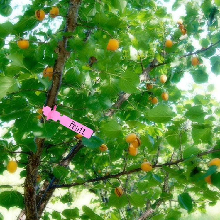 100 ชิ้นสวนพืชต้นกล้าเมล็ดแขวนป้ายต้นไม้, Plant Label 5 White, Plant Label 5 Pink, Plant Label 5 Yellow, Plant Label 5 Green, Plant Label 5 Blue, Plant Label 5 Red