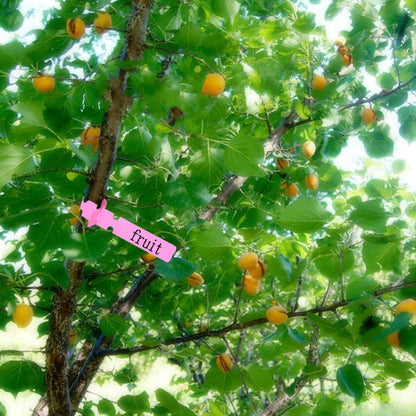 100 ชิ้นสวนพืชต้นกล้าเมล็ดแขวนป้ายต้นไม้, Plant Label 5 White, Plant Label 5 Pink, Plant Label 5 Yellow, Plant Label 5 Green, Plant Label 5 Blue, Plant Label 5 Red