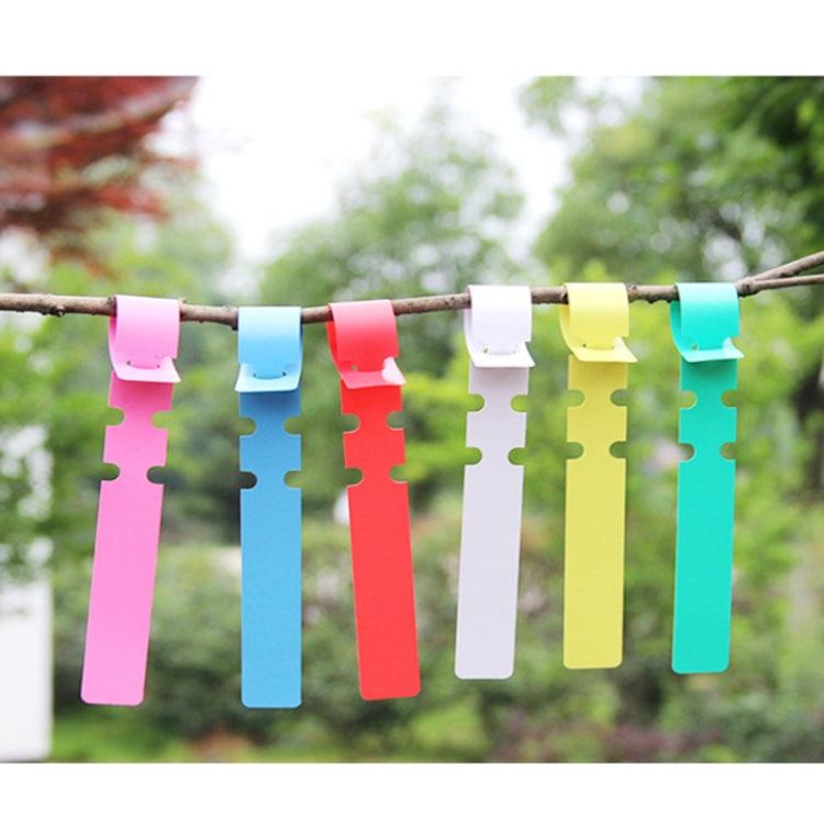 100 ชิ้นสวนพืชต้นกล้าเมล็ดแขวนป้ายต้นไม้, Plant Label 5 White, Plant Label 5 Pink, Plant Label 5 Yellow, Plant Label 5 Green, Plant Label 5 Blue, Plant Label 5 Red