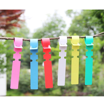 100 ชิ้นสวนพืชต้นกล้าเมล็ดแขวนป้ายต้นไม้, Plant Label 5 White, Plant Label 5 Pink, Plant Label 5 Yellow, Plant Label 5 Green, Plant Label 5 Blue, Plant Label 5 Red
