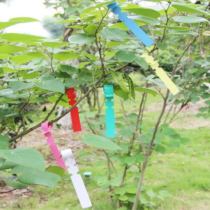 100 ชิ้นสวนพืชต้นกล้าเมล็ดแขวนป้ายต้นไม้, Plant Label 5 White, Plant Label 5 Pink, Plant Label 5 Yellow, Plant Label 5 Green, Plant Label 5 Blue, Plant Label 5 Red