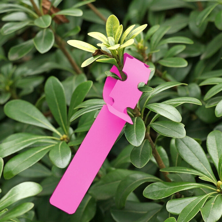 100 ชิ้นสวนพืชต้นกล้าเมล็ดแขวนป้ายต้นไม้, Plant Label 5 White, Plant Label 5 Pink, Plant Label 5 Yellow, Plant Label 5 Green, Plant Label 5 Blue, Plant Label 5 Red