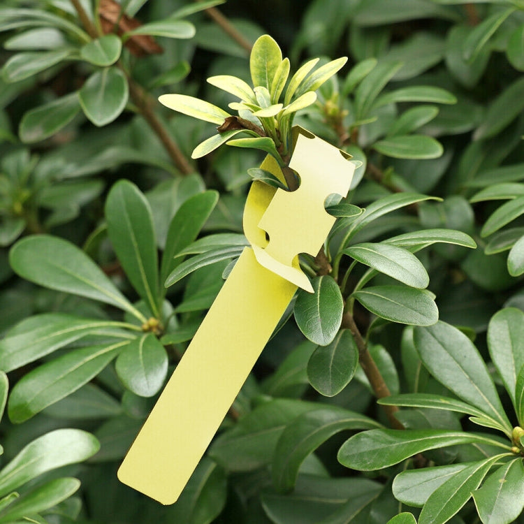 100 ชิ้นสวนพืชต้นกล้าเมล็ดแขวนป้ายต้นไม้, Plant Label 5 White, Plant Label 5 Pink, Plant Label 5 Yellow, Plant Label 5 Green, Plant Label 5 Blue, Plant Label 5 Red