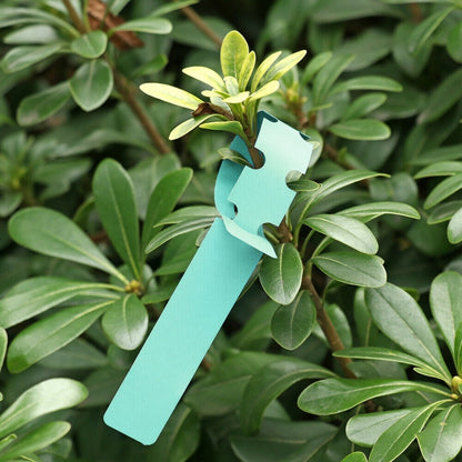 100 ชิ้นสวนพืชต้นกล้าเมล็ดแขวนป้ายต้นไม้, Plant Label 5 White, Plant Label 5 Pink, Plant Label 5 Yellow, Plant Label 5 Green, Plant Label 5 Blue, Plant Label 5 Red