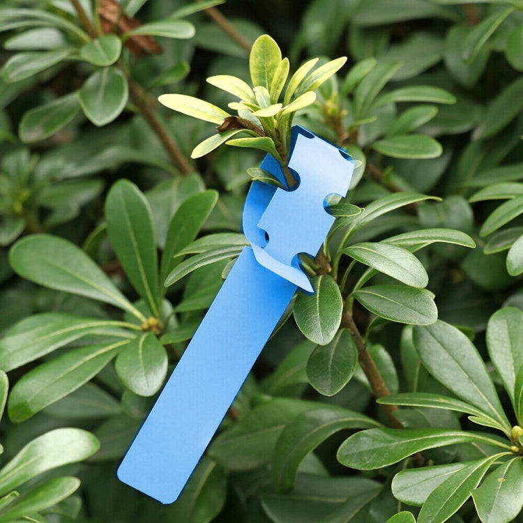 100 ชิ้นสวนพืชต้นกล้าเมล็ดแขวนป้ายต้นไม้, Plant Label 5 White, Plant Label 5 Pink, Plant Label 5 Yellow, Plant Label 5 Green, Plant Label 5 Blue, Plant Label 5 Red