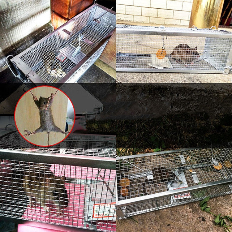 กับดักหนูกรงหนูในครัวเรือนพร้อมประตูคู่, Household Mouse Cage