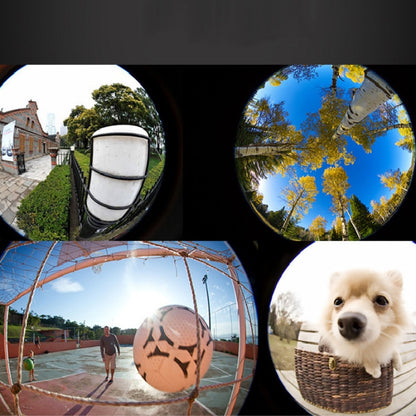 APEXEL APL-HB195 195 Degrees Fisheye Professional HD เลนส์ภายนอกสำหรับโทรศัพท์มือถือภายนอก, 195 Degrees Fisheye
