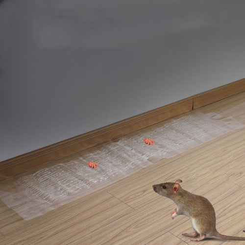 Anti-rodent Strong Sticky Board เมาส์เหนียวโปร่งใสพร้อมกาวดักหนู, Long Transparent
