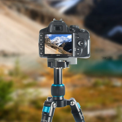 BEXIN ขาตั้ง ที่วางจานด่วนสำหรับ Manfrotto 200PL-14