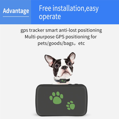 TK203 2G GPS / GPRS / GSM ส่วนบุคคล / สินค้า / สัตว์เลี้ยง / กระเป๋าระบุตำแหน่งปลอกคอสัตว์เลี้ยงอุปกรณ์ติดตามแบบเรียลไทม์, TK203