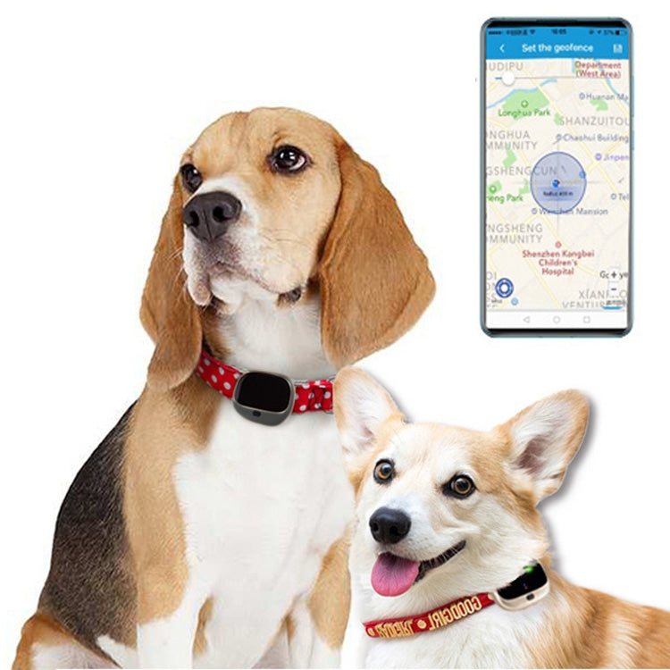 RF-V43 A Style IP67 GPS กันน้ำ + LBS + WiFi Pet Locator อุปกรณ์ติดตามปลอกคอสัตว์เลี้ยงสำหรับเอเชีย/ยุโรป/แอฟริกา, RF-V43 A Style (Black), RF-V43 A Style (White)