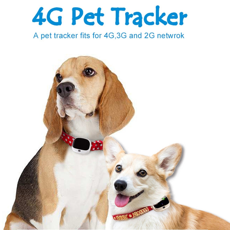 RF-V43 A Style IP67 GPS กันน้ำ + LBS + WiFi Pet Locator อุปกรณ์ติดตามปลอกคอสัตว์เลี้ยงสำหรับเอเชีย/ยุโรป/แอฟริกา, RF-V43 A Style (Black), RF-V43 A Style (White)