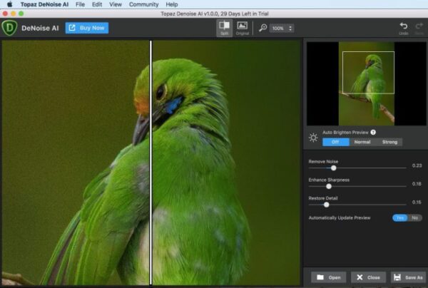 Topaz DeNoise AI 2021 v3.3.4 Full Version for MacOS
