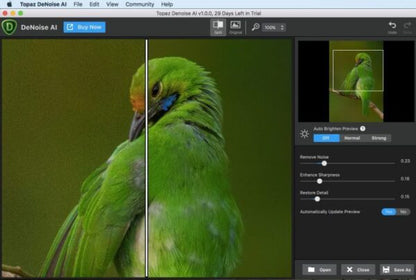 Topaz DeNoise AI 2021 v3.3.4 Full Version for MacOS