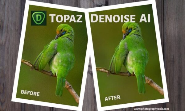 Topaz DeNoise AI 2021 v3.3.4 Full Version for MacOS
