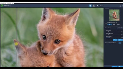 Topaz DeNoise AI 2021 v3.3.4 Full Version for MacOS