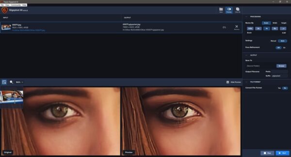 Topaz Gigapixel AI 2021 v5.6.1 Full Version for Windows