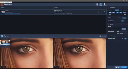 Topaz Gigapixel AI 2021 v5.6.1 Full Version for Windows