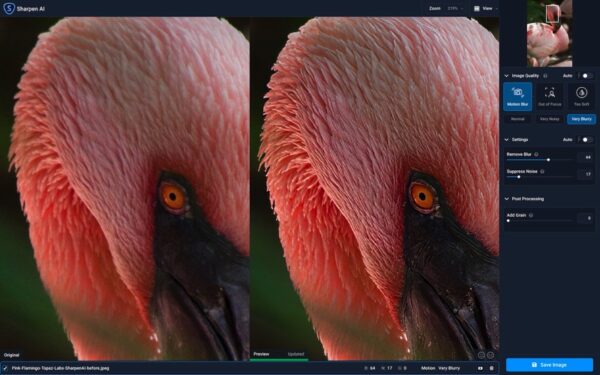 Topaz Sharpen AI 2021 v3.2.2 Full Version for Windows