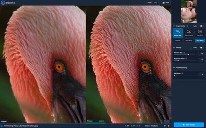Topaz Sharpen AI 2021 v3.2.2 Full Version for Windows